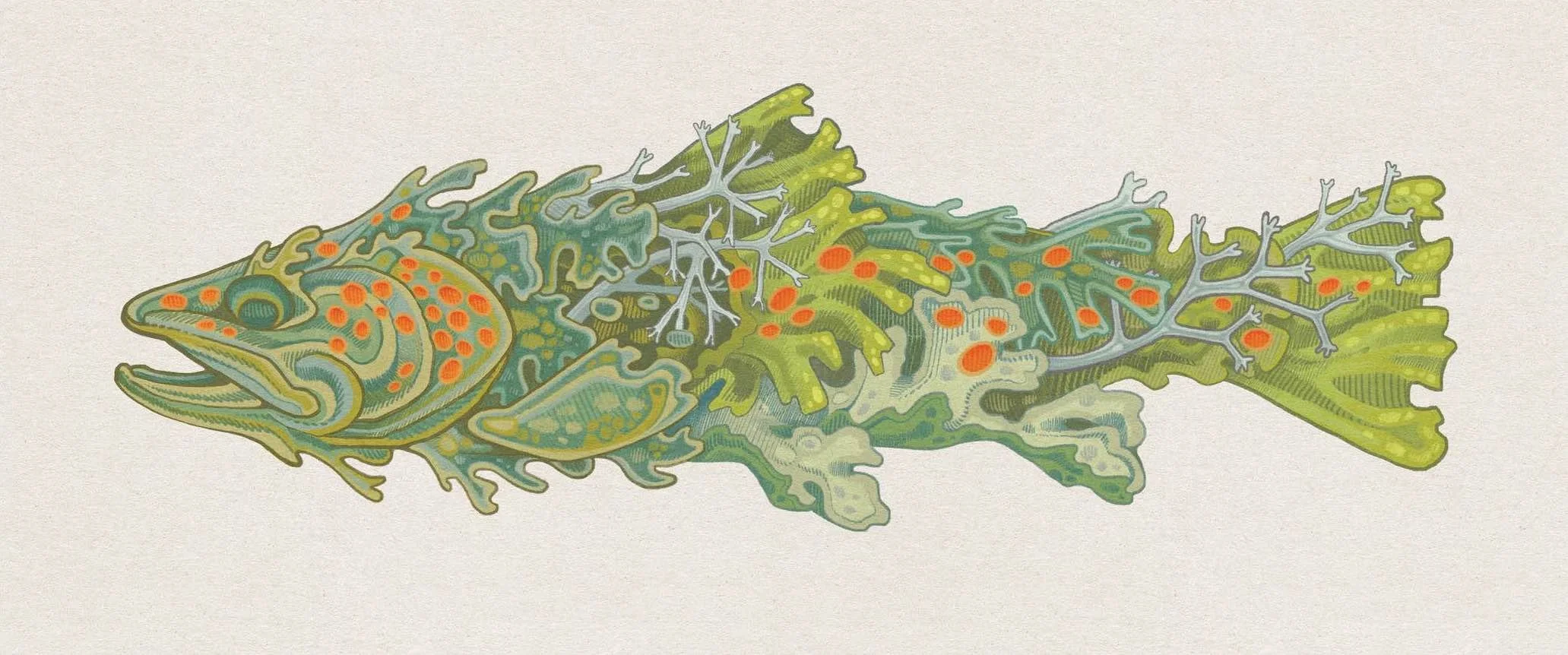 SalmoLichinaceae.jpg