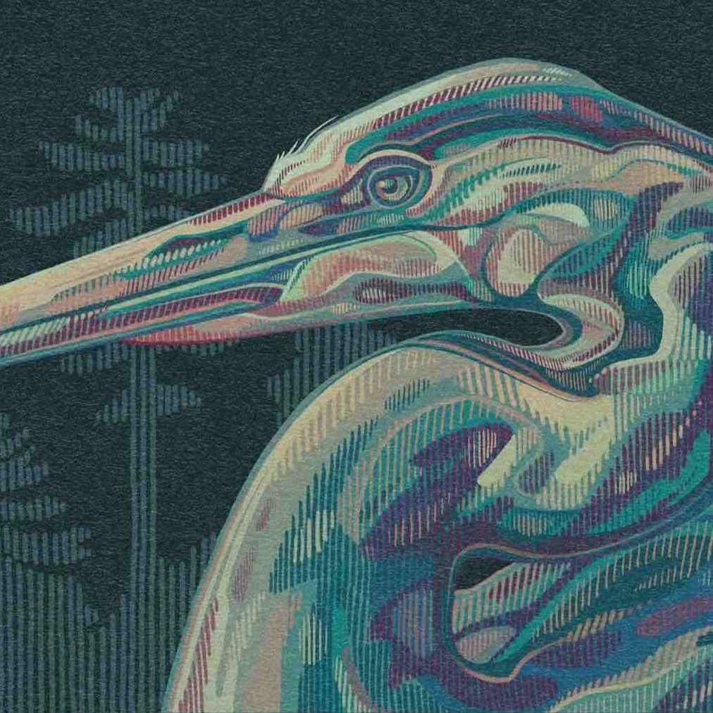 GreatBlueHeron.jpg