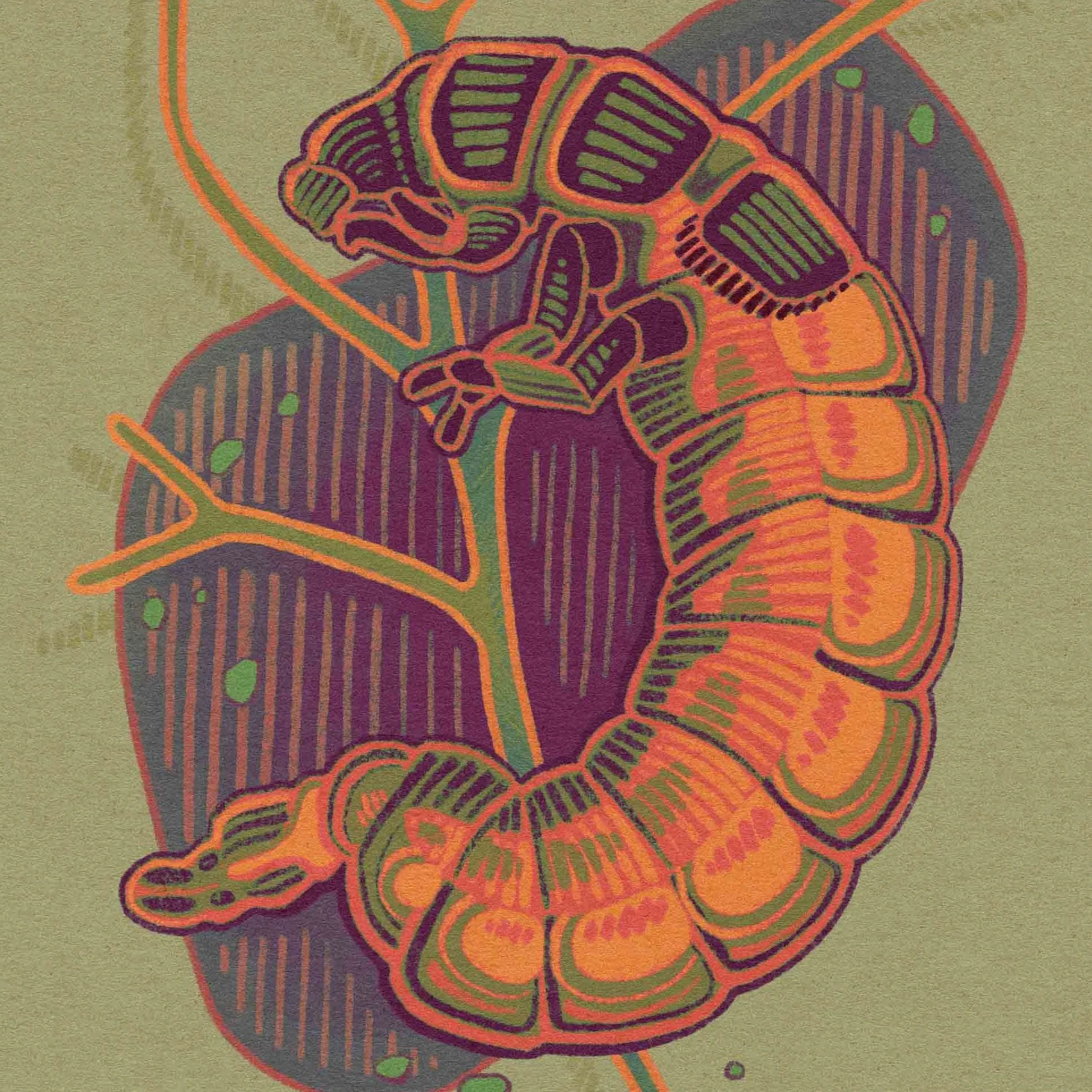 CaddisLarva.jpg