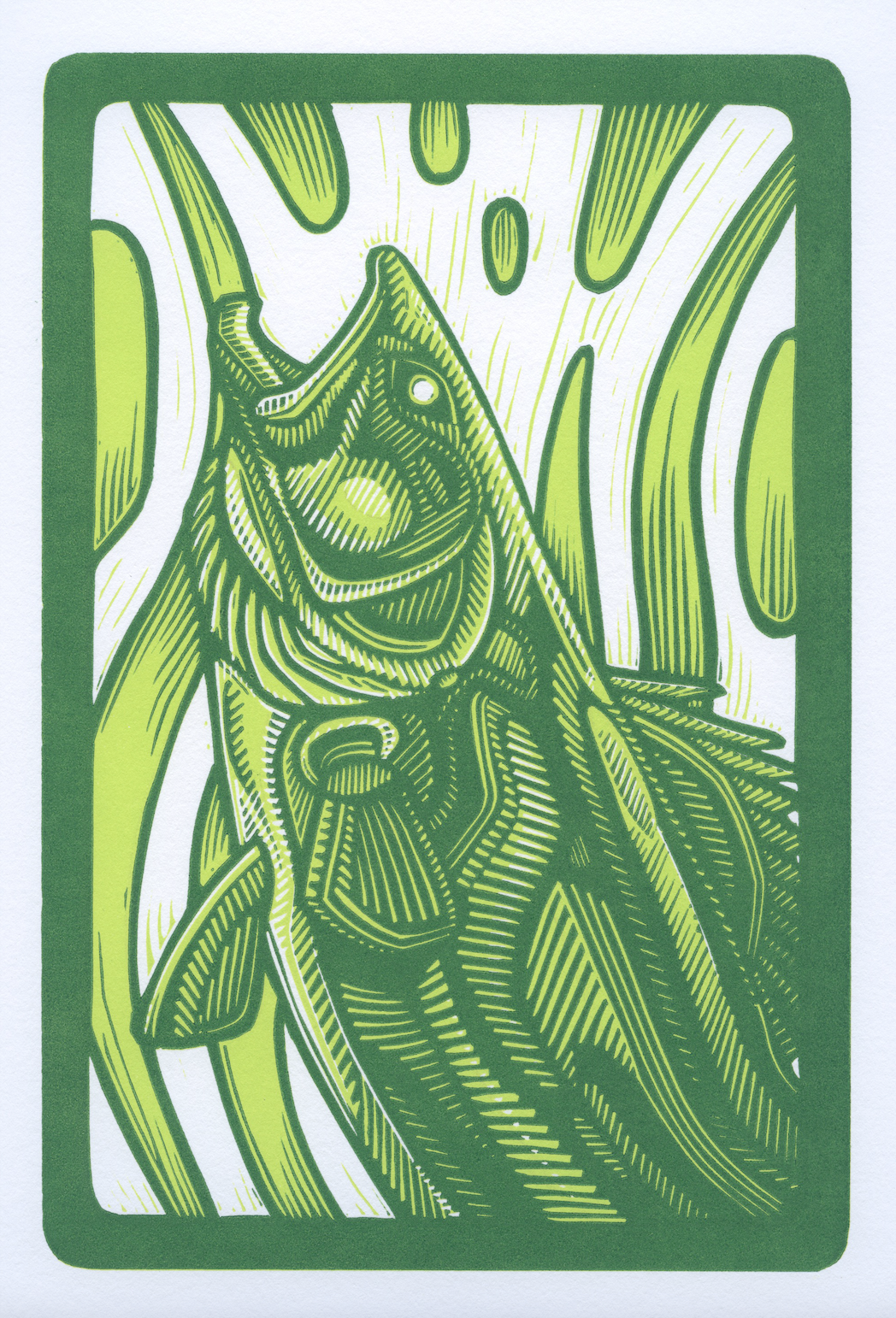 MG Walleye.png