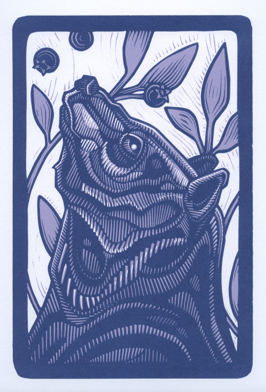 MG Black Bear.png