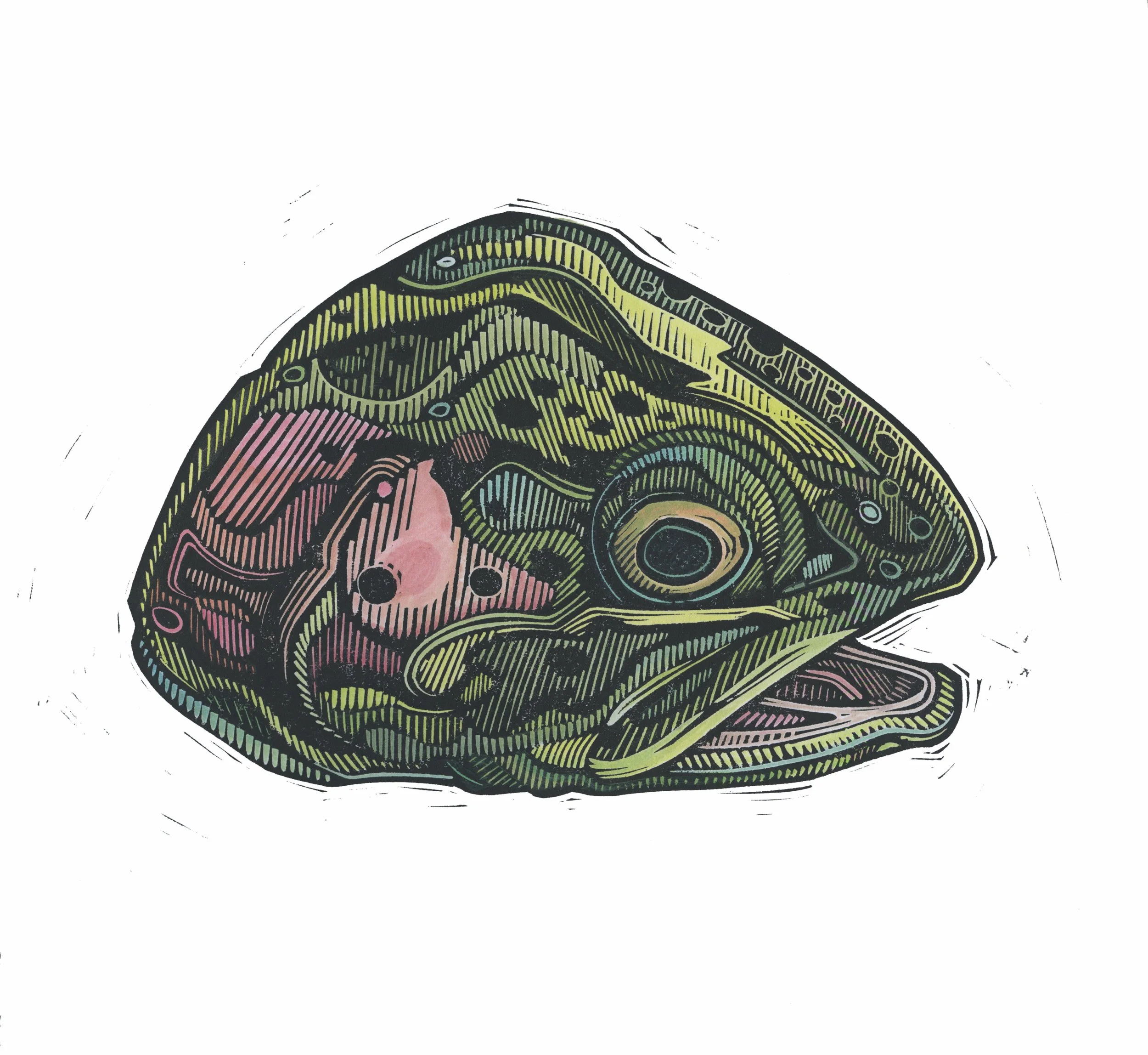 Rainbow with Reed.jpg