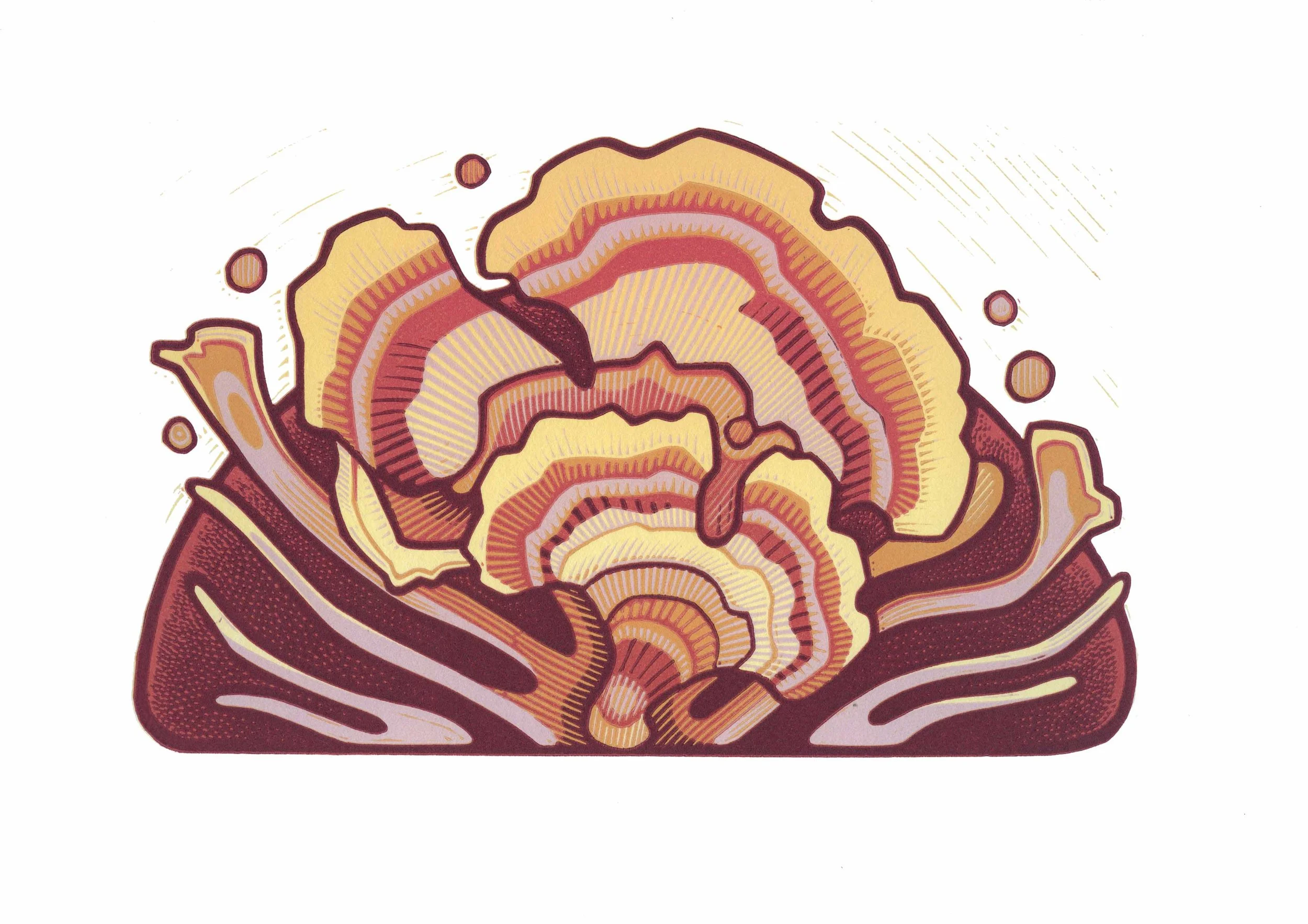 Versicolor Vibes.jpg