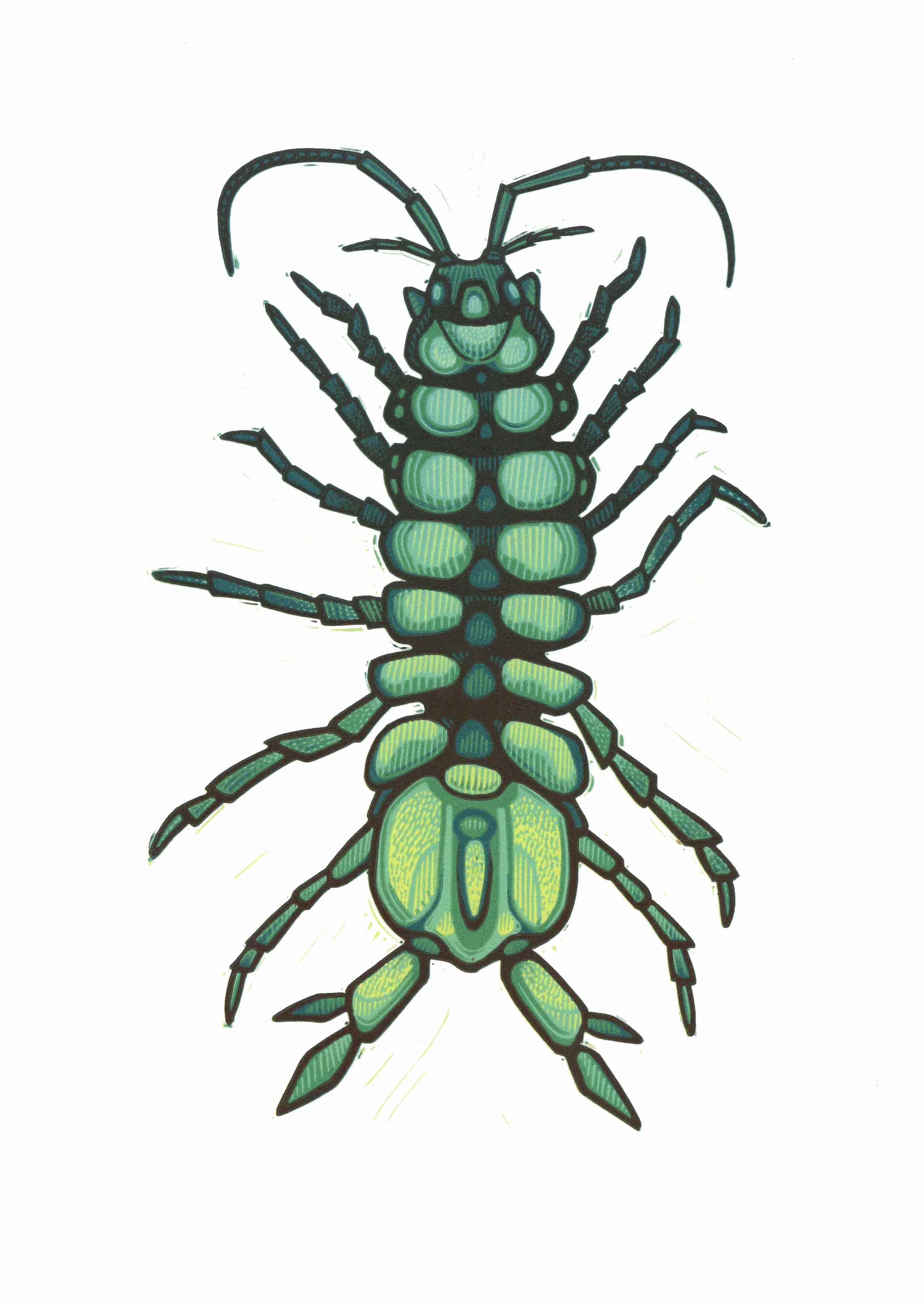 Sow Bug Linocut.jpg