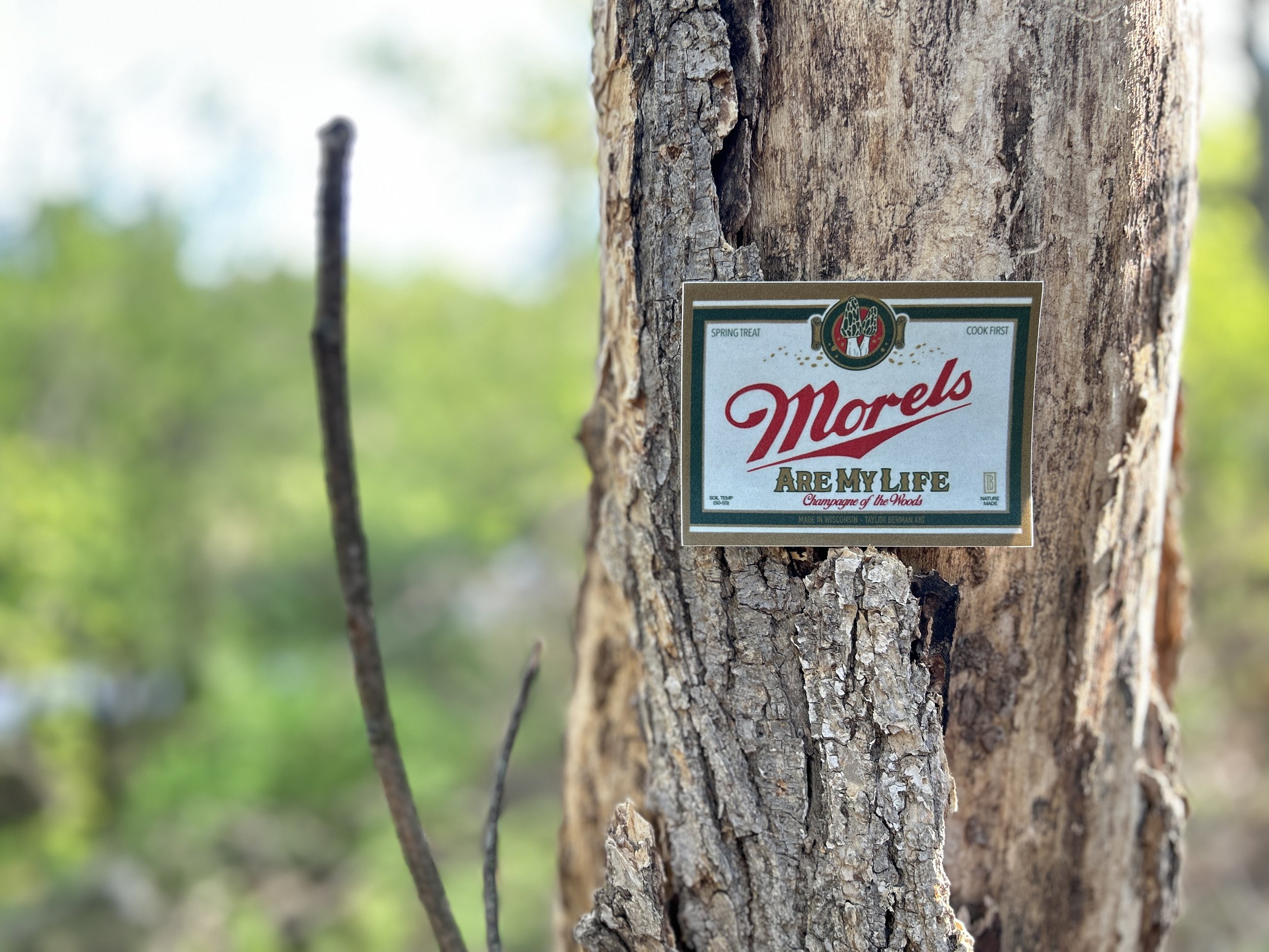 Morel Life Sticker