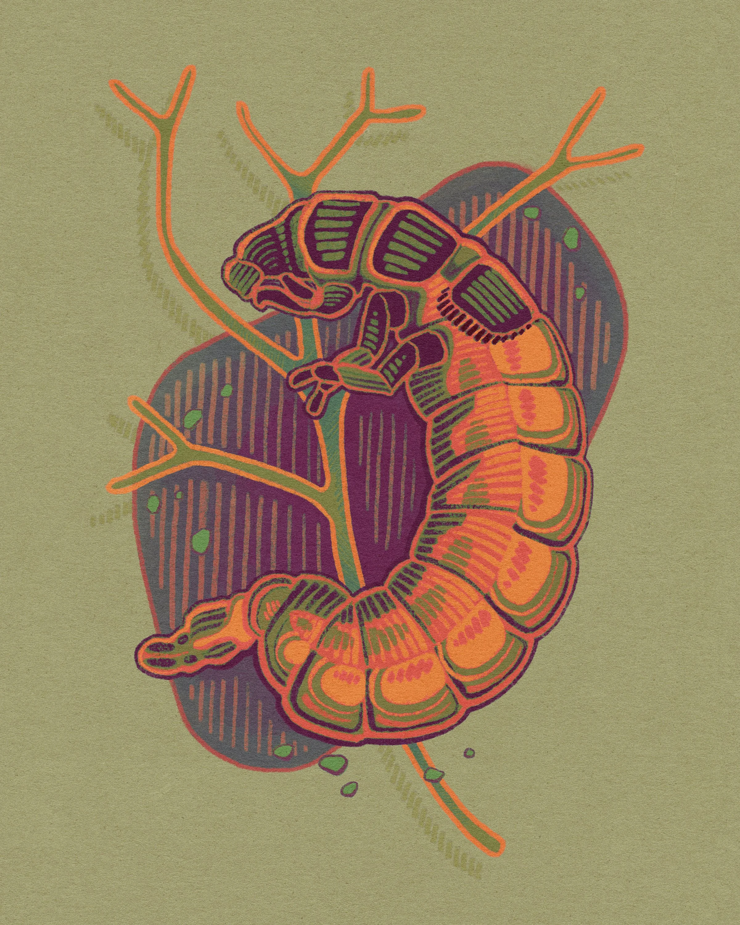 Caddis Larva Print - 8x10.jpg