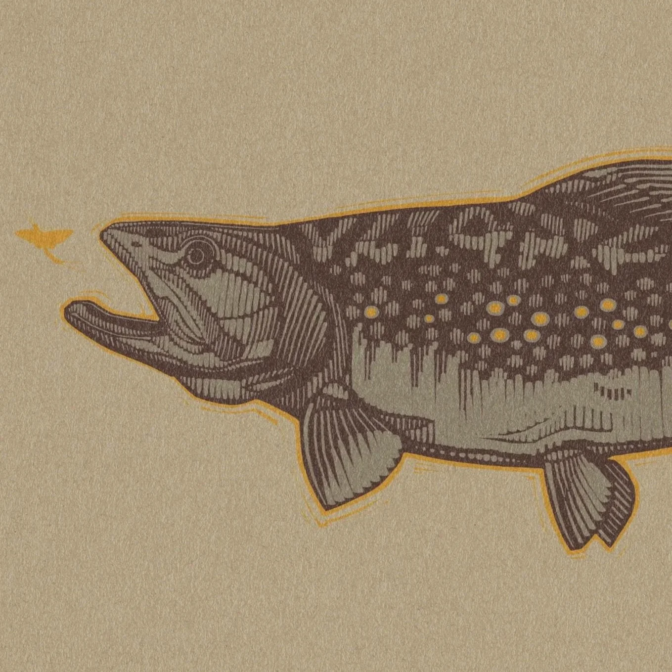 Brook Trout - Simms.jpg