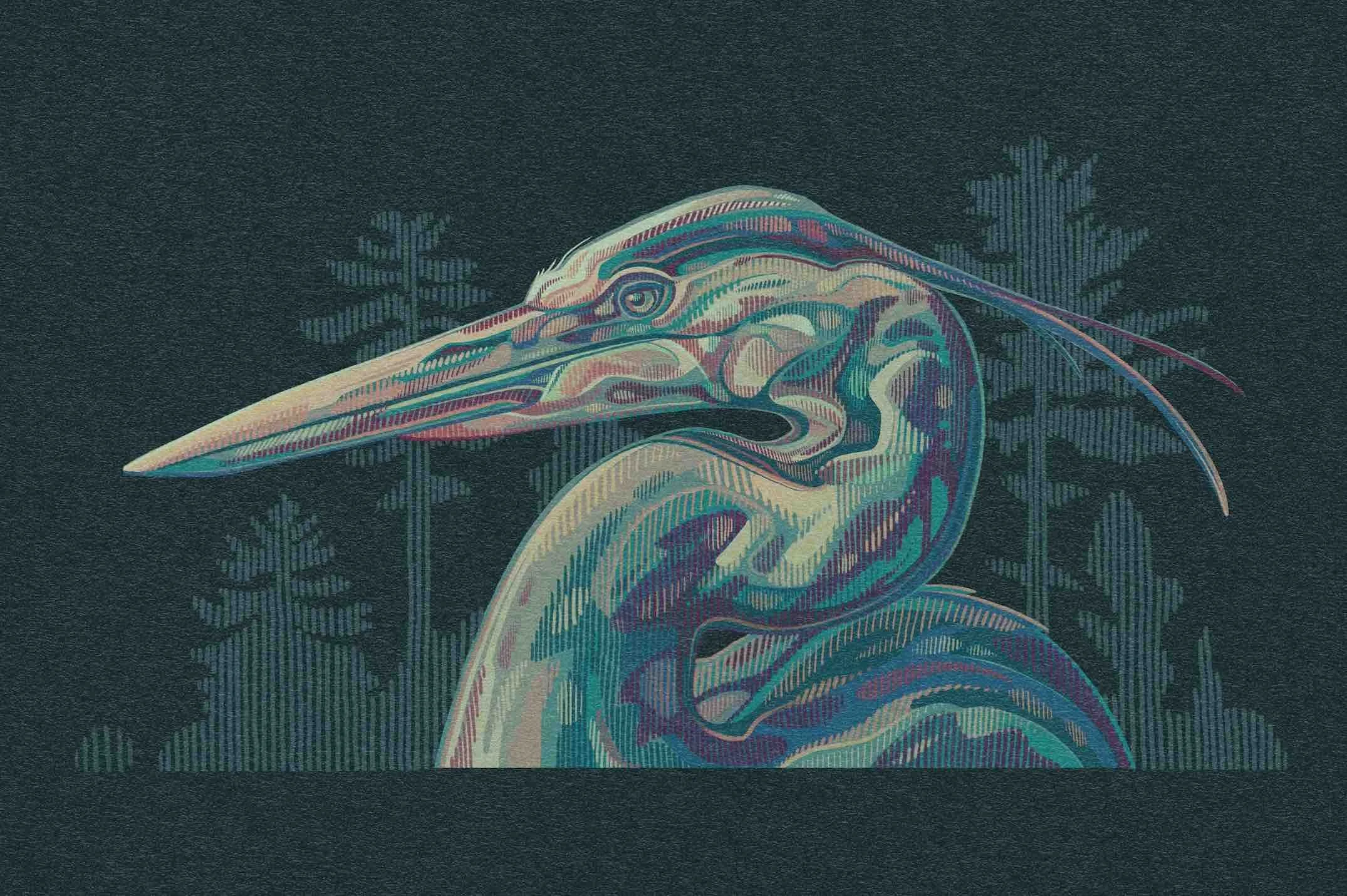 GreatBlueHeron.jpg