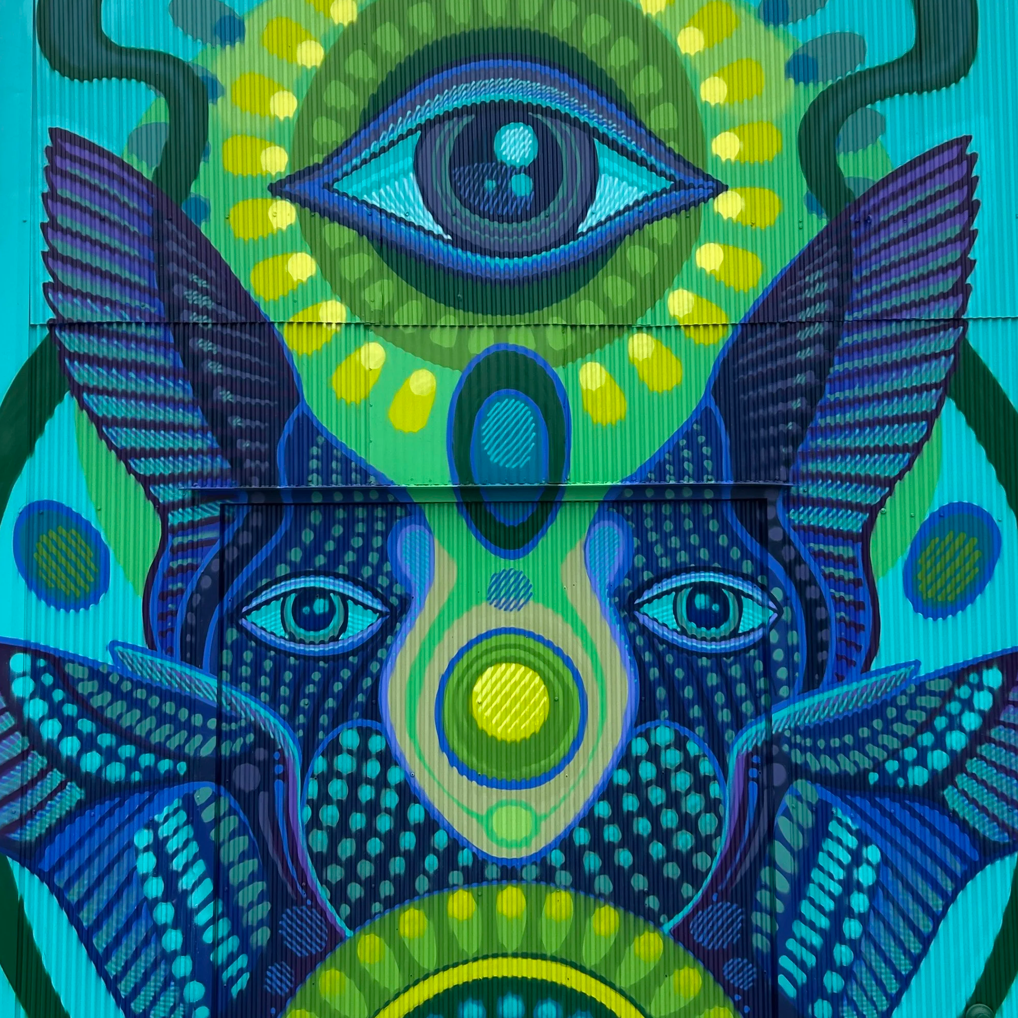 IMG_0900.png