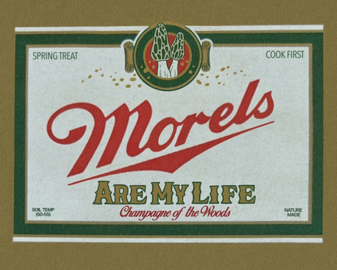 Morel Life Illustration.jpg