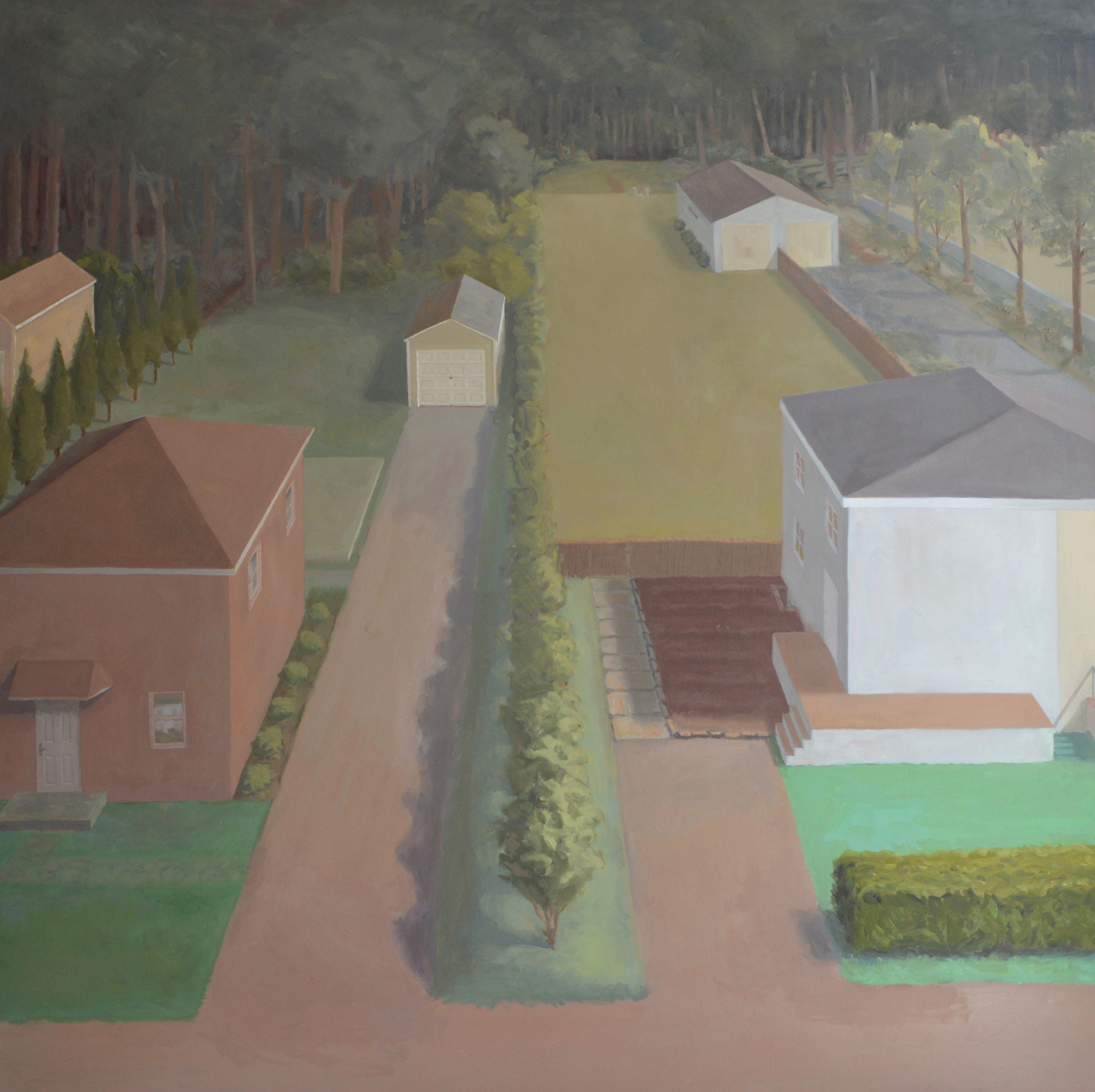 Suburb with Shrubs