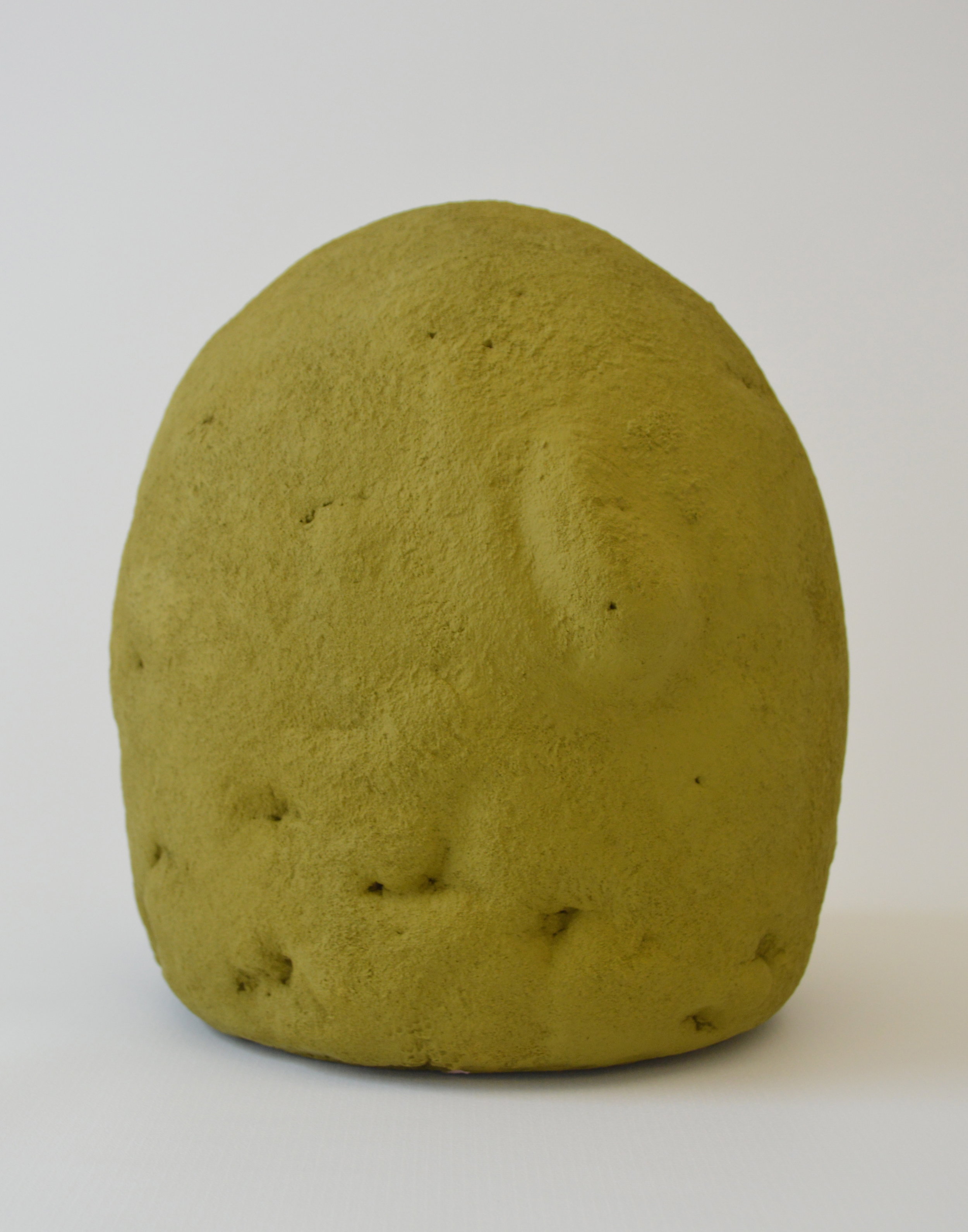 Sarah Schlesinger - Herniated Hedge.JPG