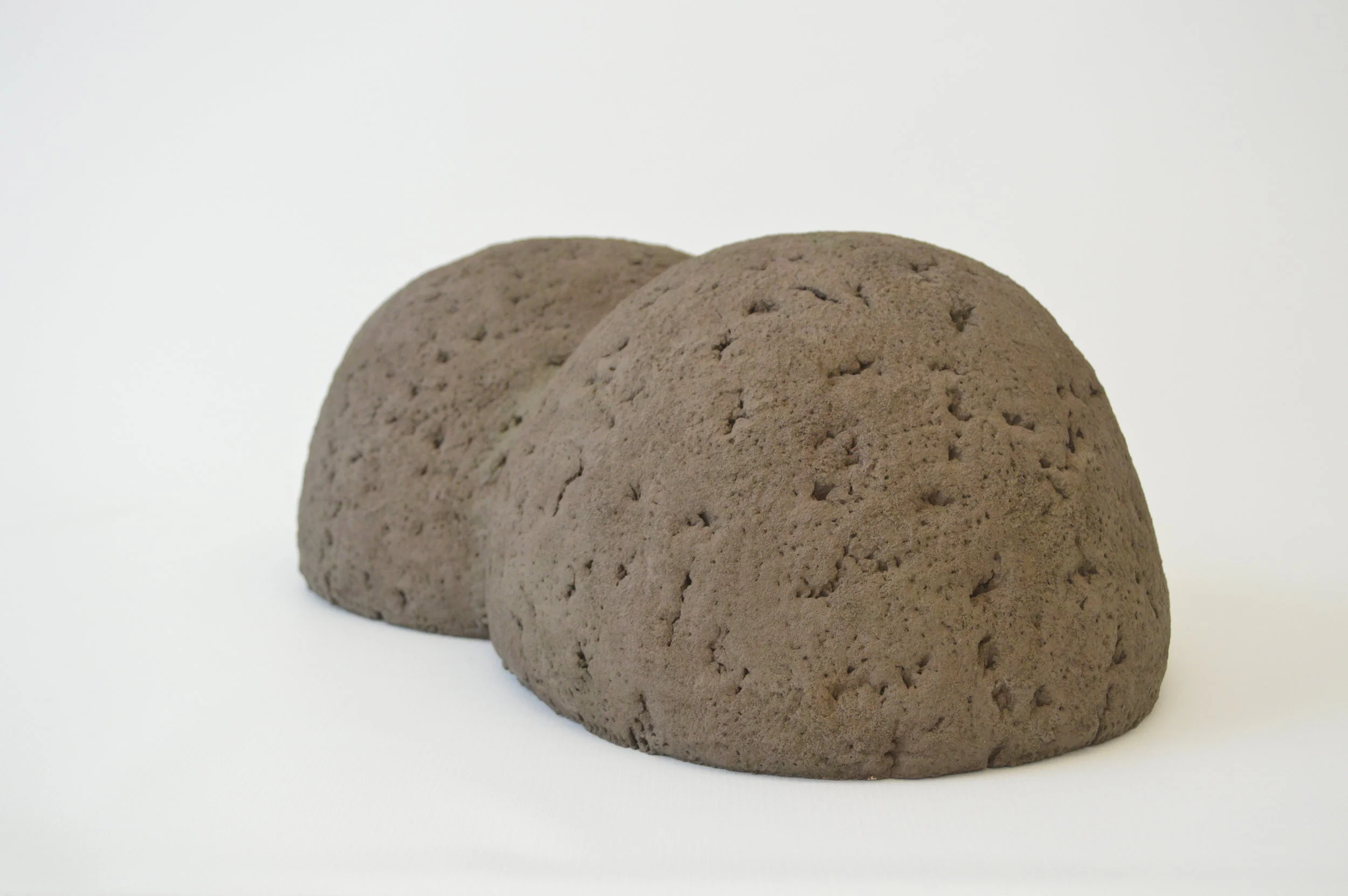 sarah schlesinger sculpture two trees art artist 2.JPG