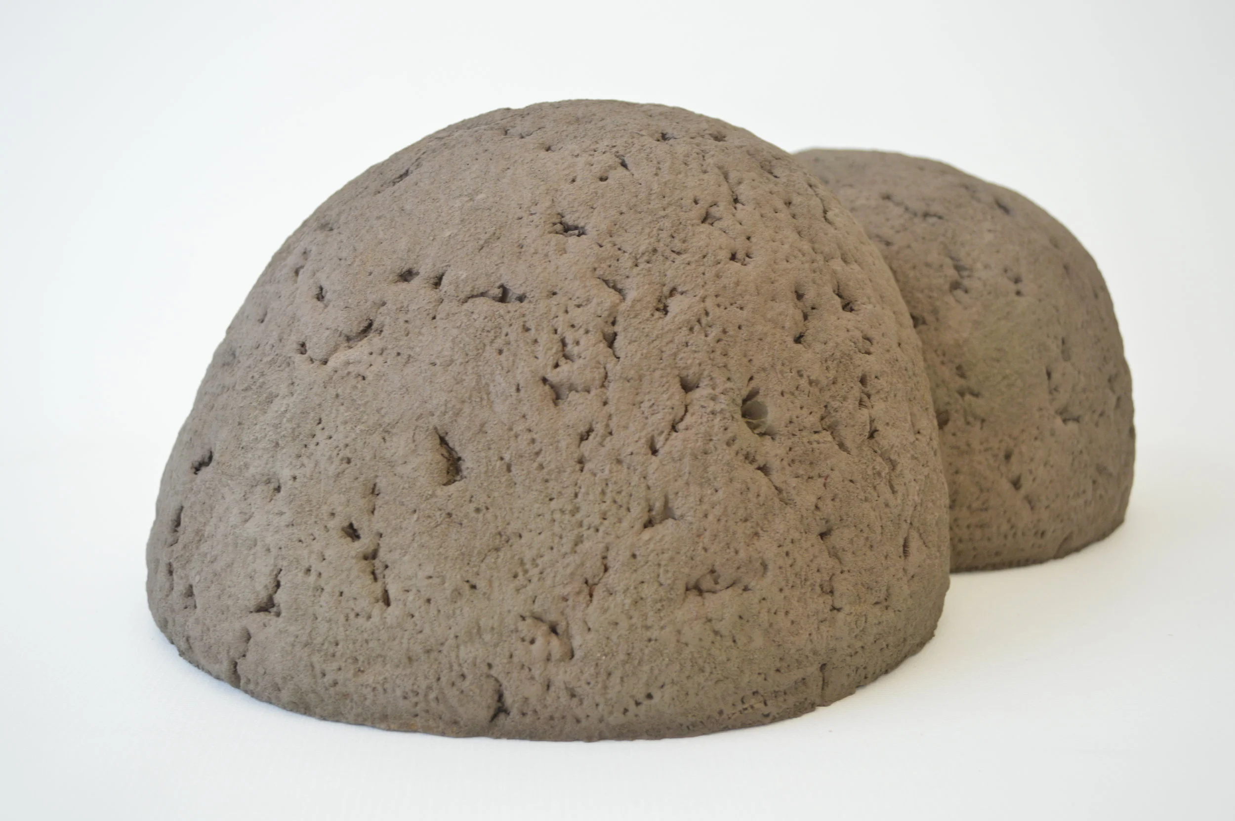 sarah schlesinger sculpture two trees art artist 5.JPG