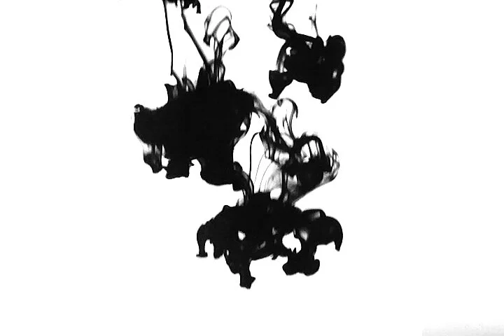 RAPIDS video premieres today!