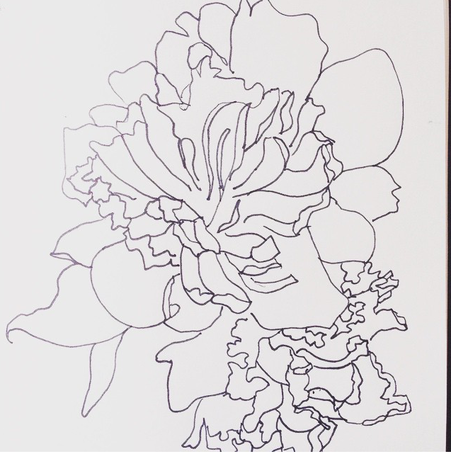 rebekah line drawing.PNG