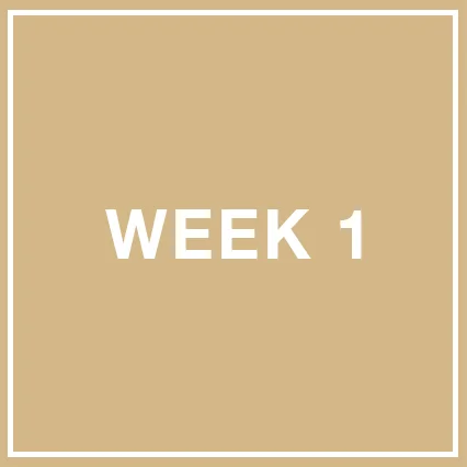 W1.jpg