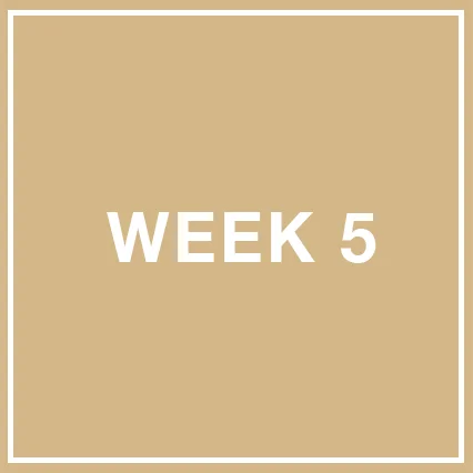 W5.jpg