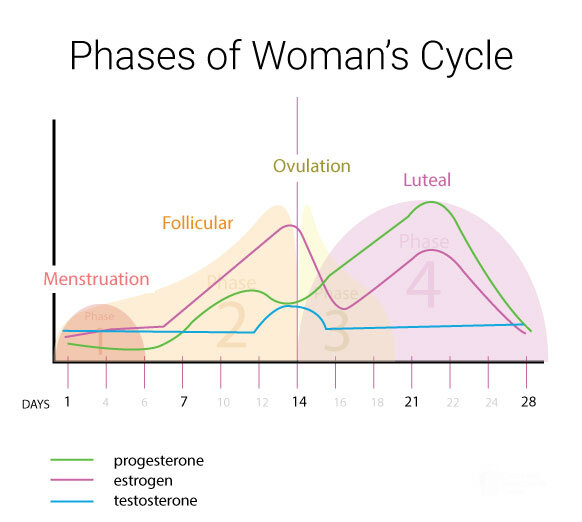 Healthy Luteal Phase with Progesterone