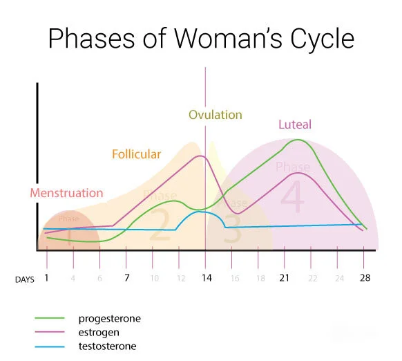 Follicular Phase Training & Nutrition — EAT RUN LIFT