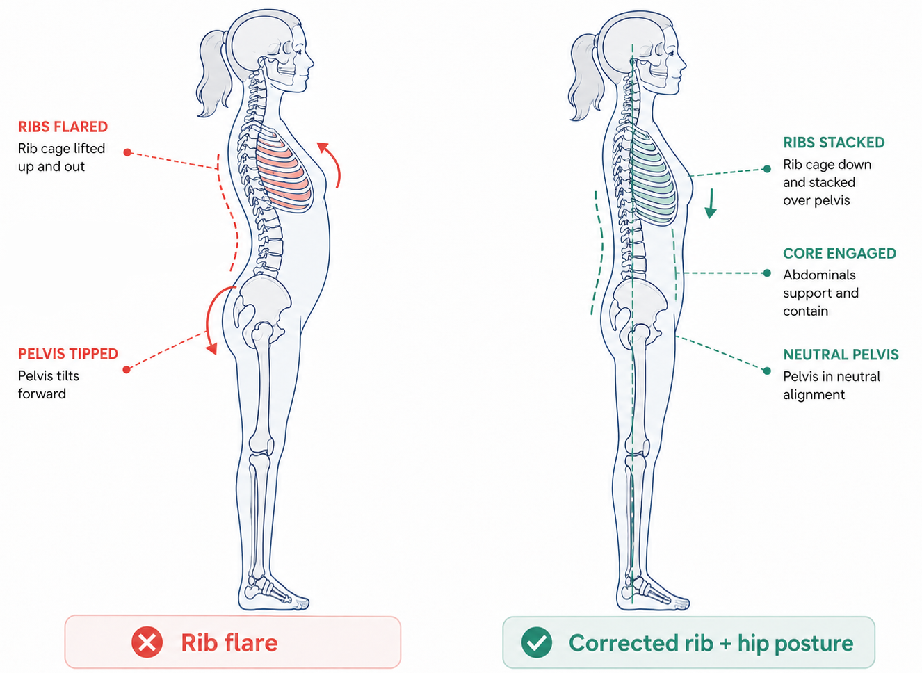 Training for an Hourglass Shape? Fix These Before You Add Another Glute Exercise