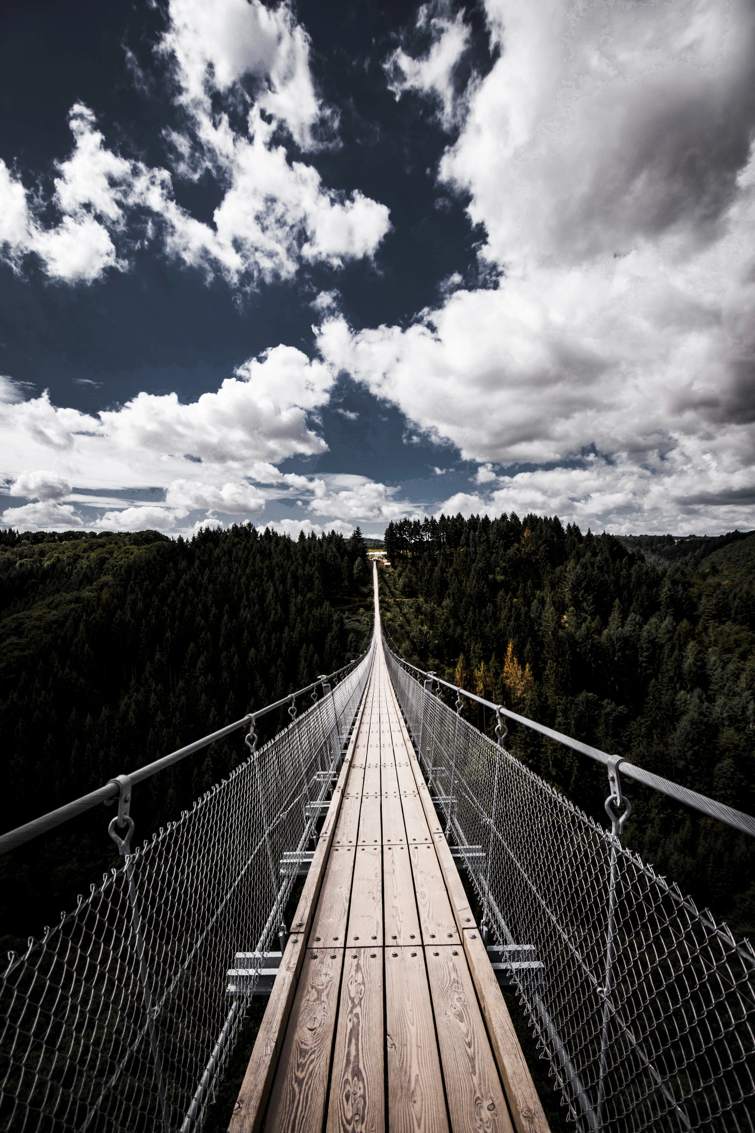 DSC_2349 PSD copy-2.jpg