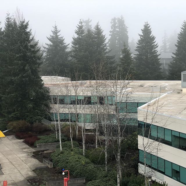 When it&rsquo;s overcast and foggy like this all we want to do is shut down for the rest of the year and wake up when the sun is out. Looking out the window from the @microsoft campus, we&rsquo;re proud of the work that the teams accomplished. think 