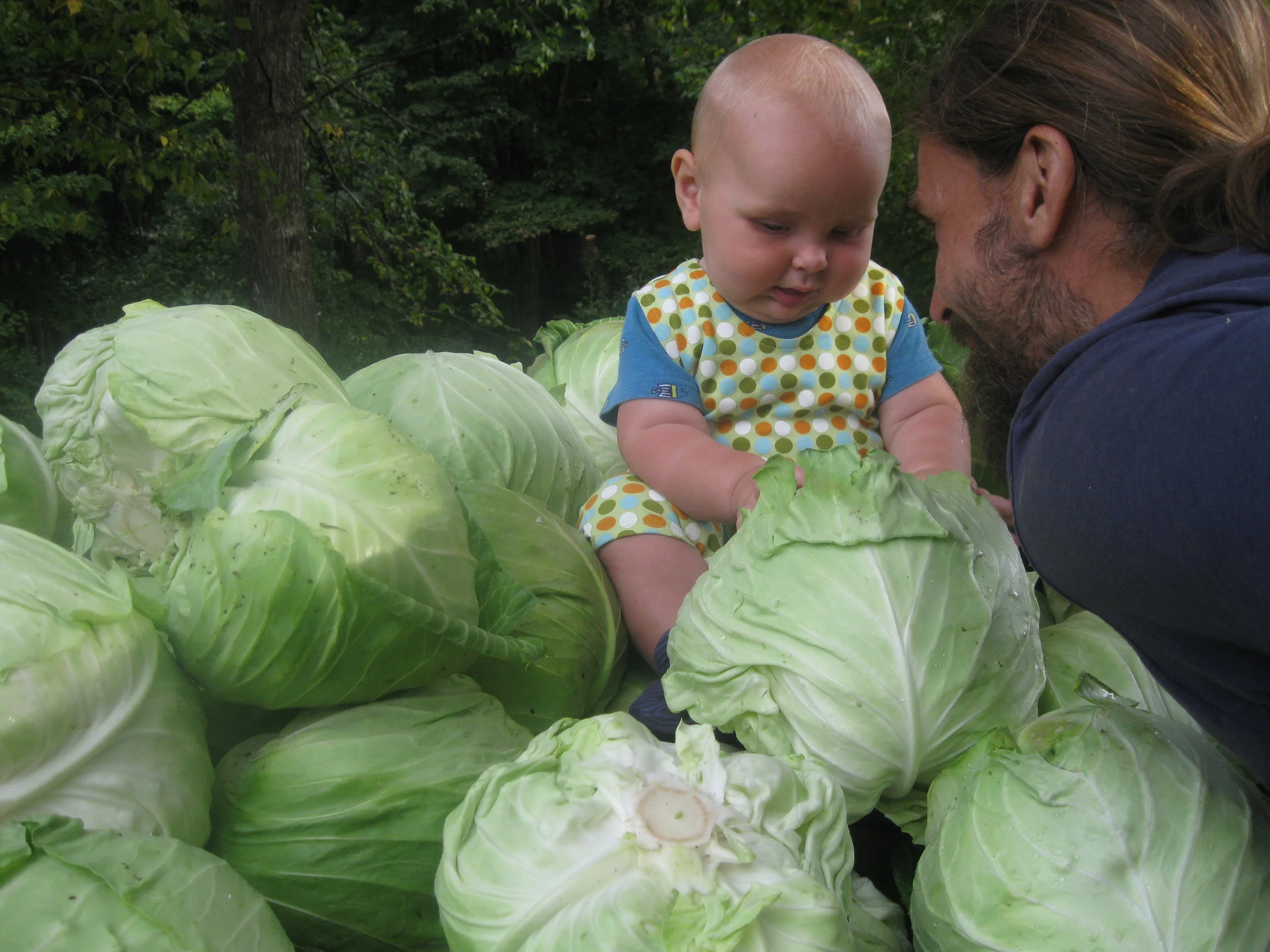 Farm and Fox---9.2015 029.JPG