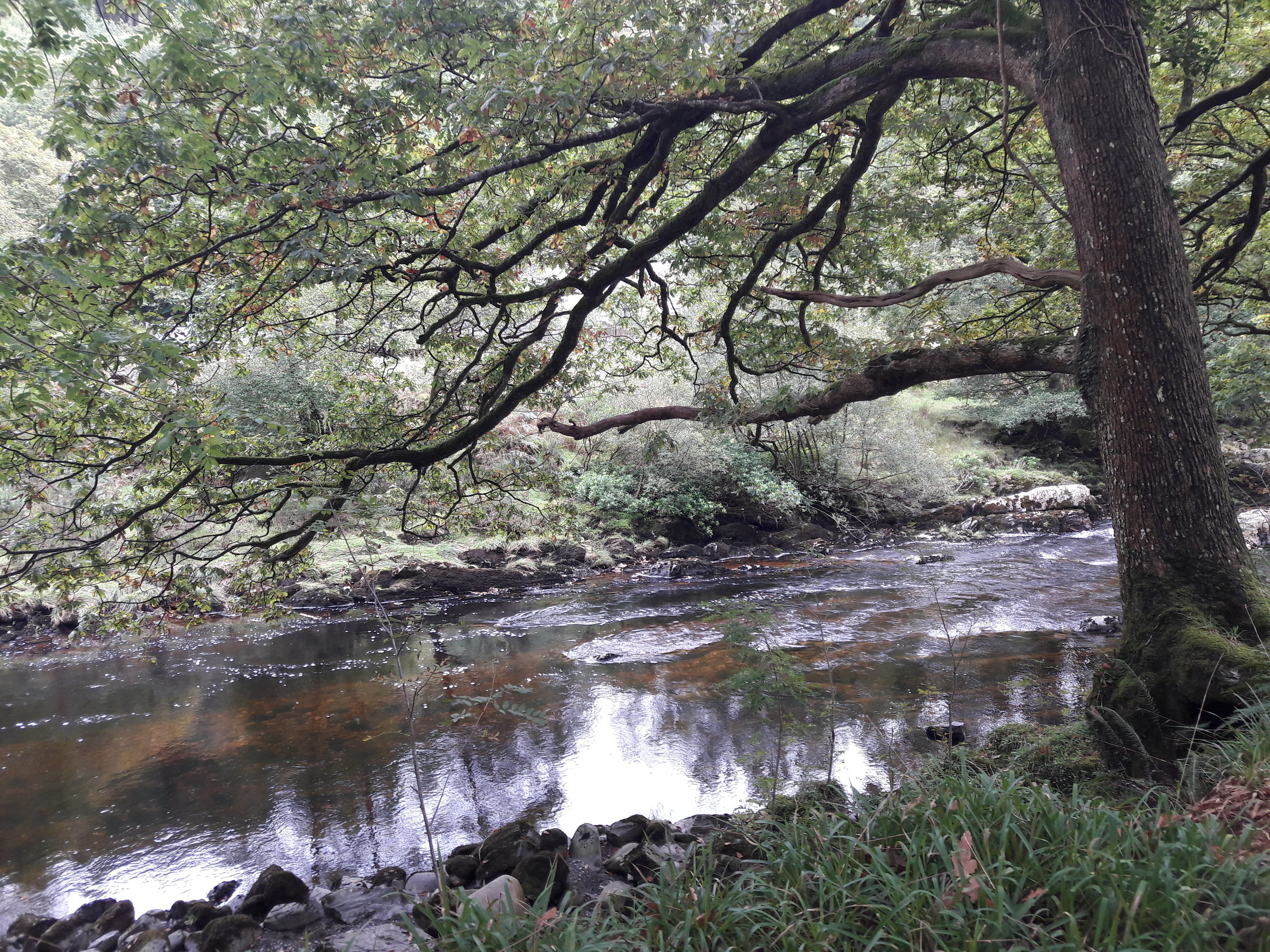 20170918_163237.jpg