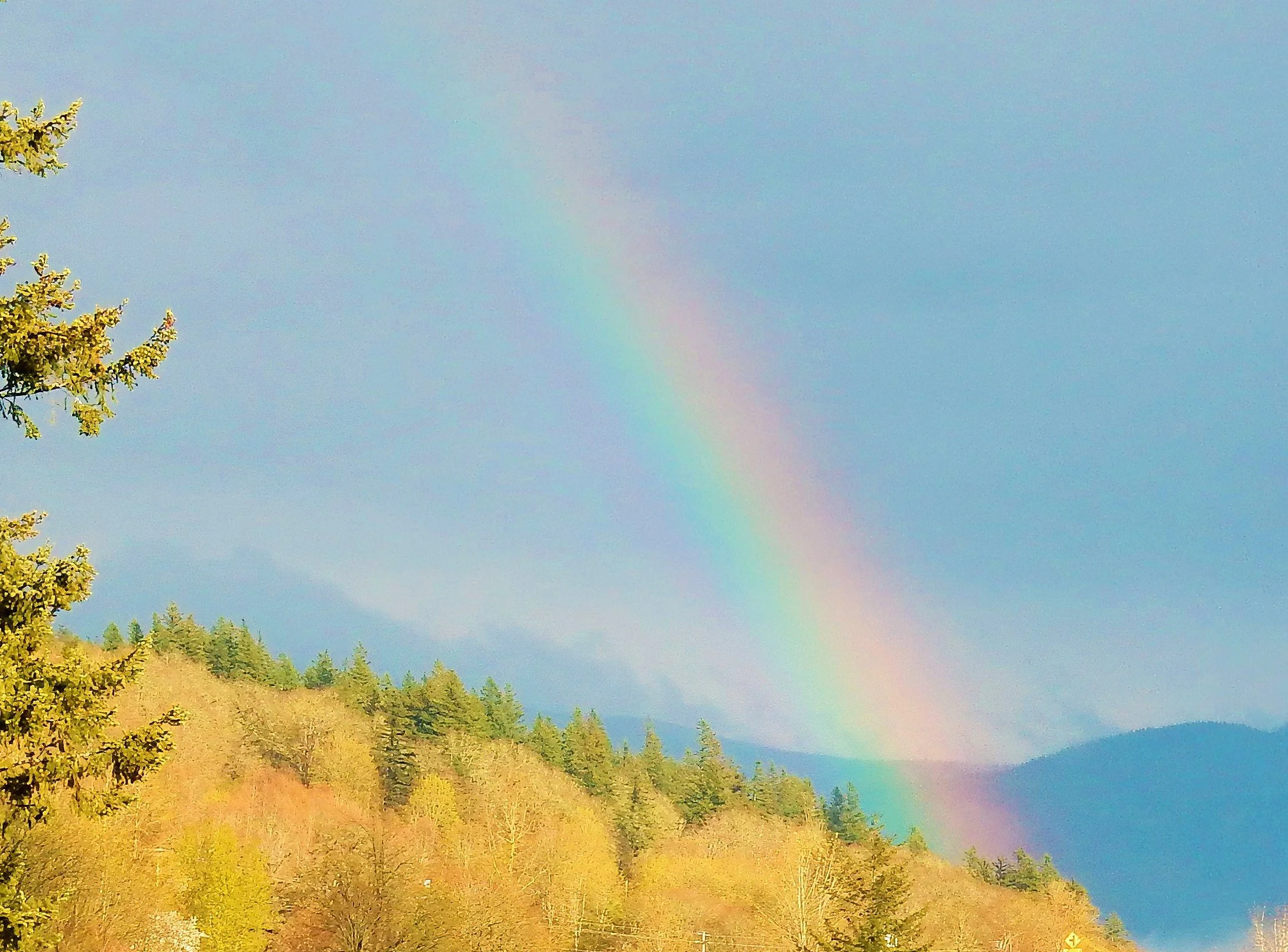 Rainbow
