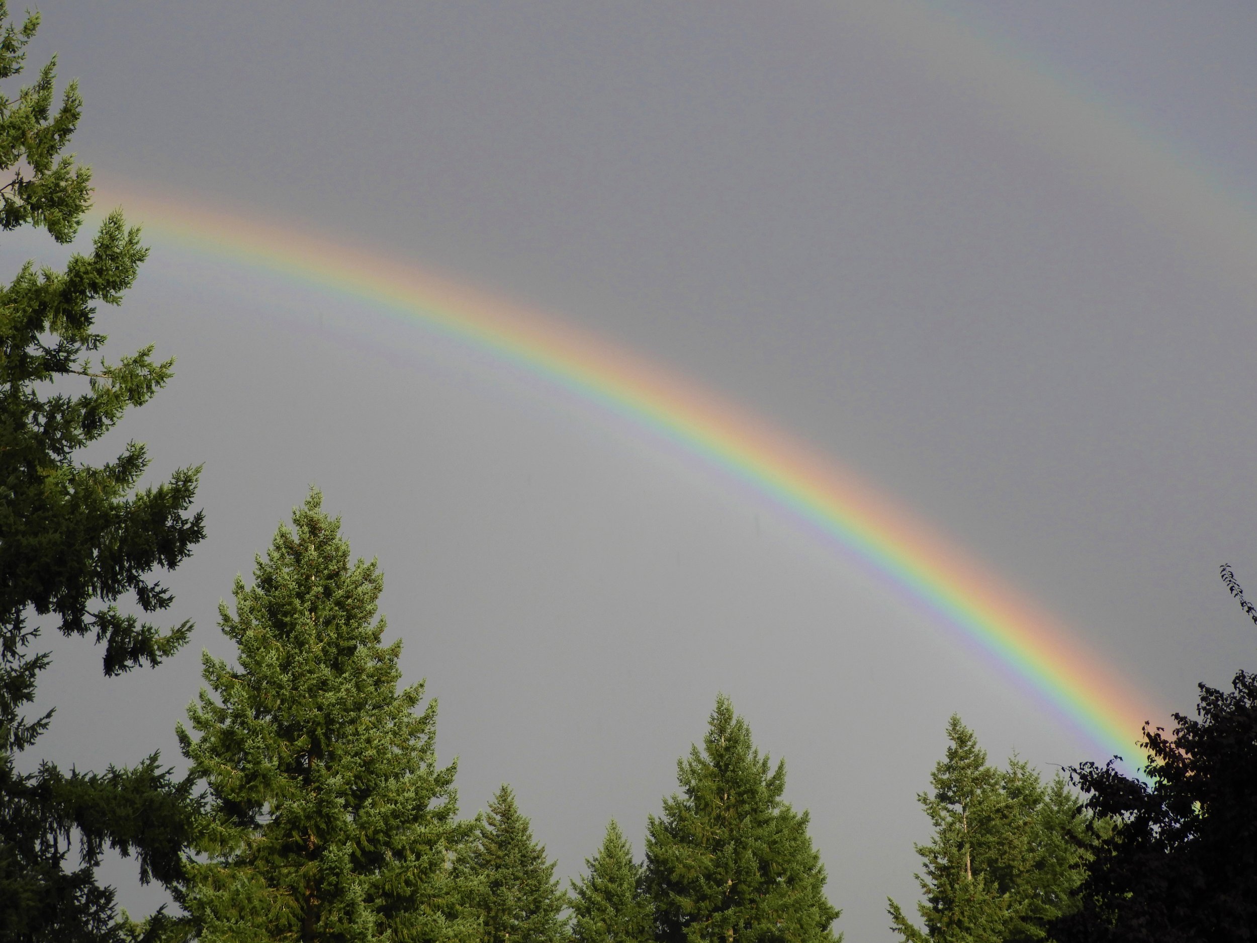 Rainbow