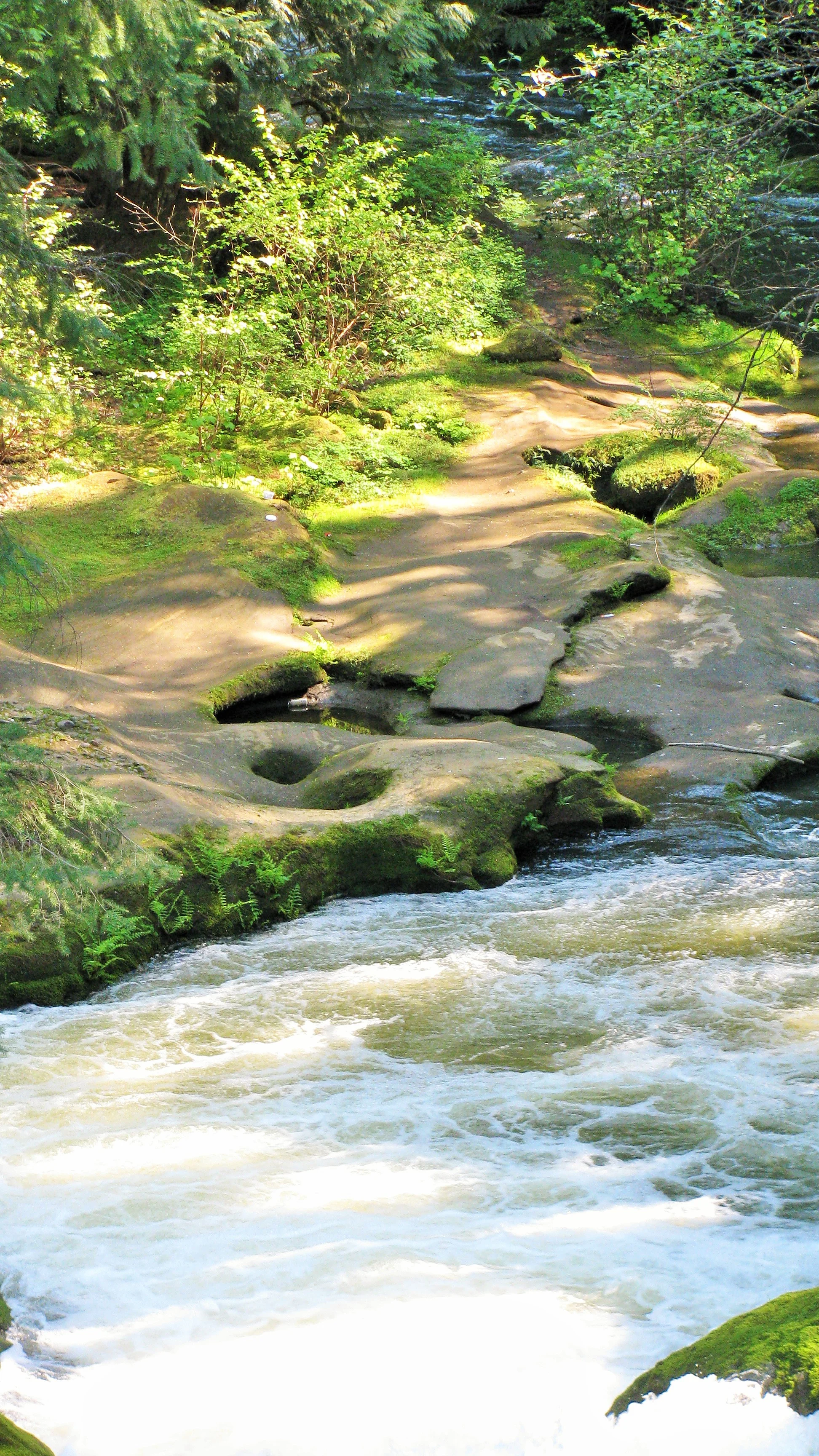 Springtime River