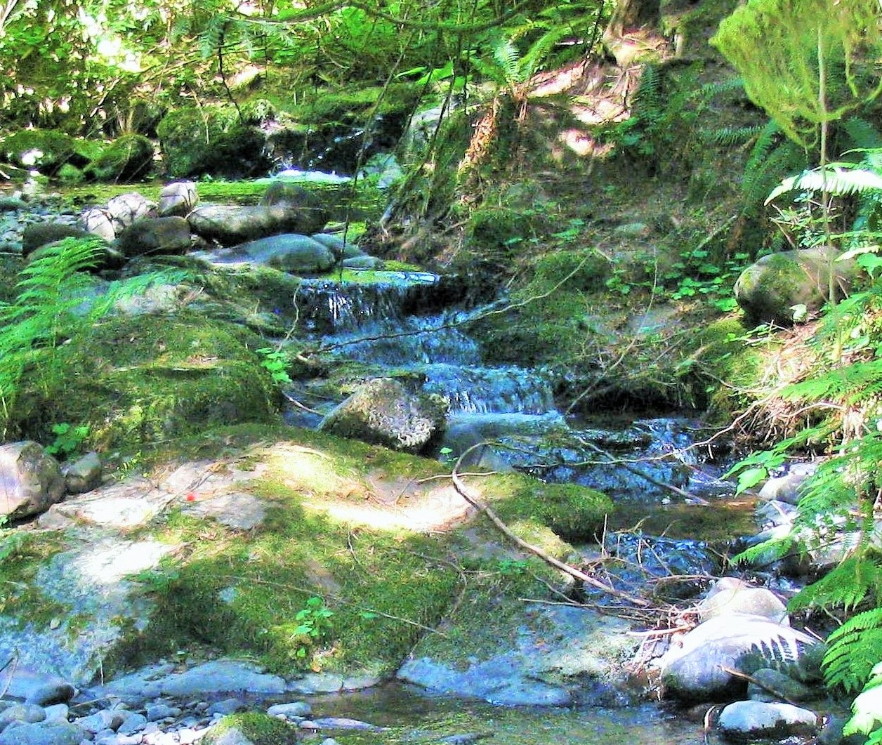 Stream