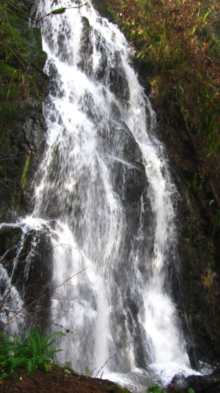 Winter Waterfall