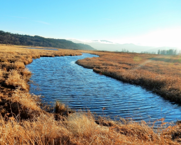 Steigerwald Wildlife Refuge