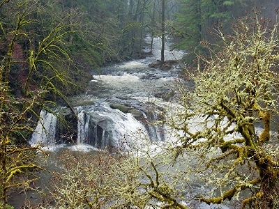 Waterfall, Lacamas Lake Park