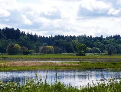 Wetlands, Ridgefield Wildlife Refuge