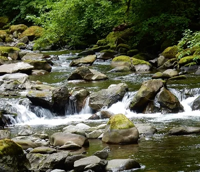 Tanner Creek, Wahclella Falls