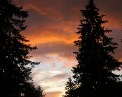 Sunrise in Neighborhood