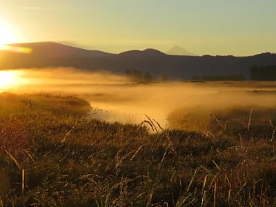 Misty Morning, Steigerwald Wildlife Refuge