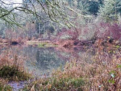 Tualatin Hills Lake