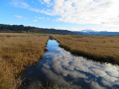 Steigerwald Wildlife Refuge