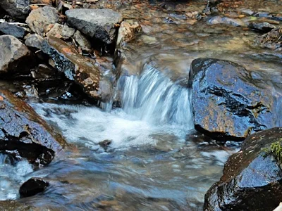 Stream, Tryon Creek State Park