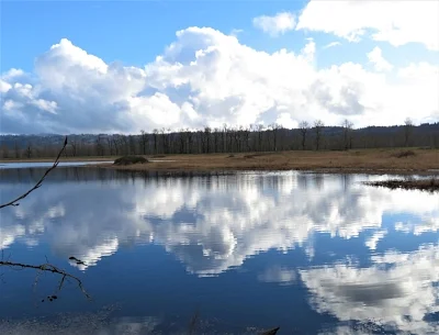 Reflection, Steigerwald Wildlife Refuge