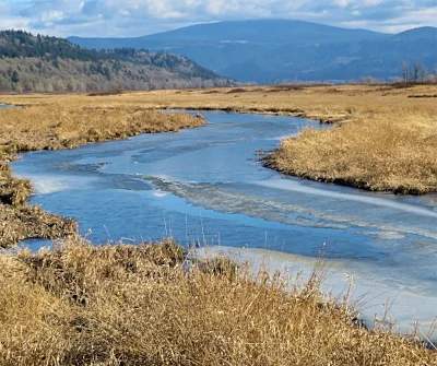 Stream, Steigerwald Wildlife Refuge