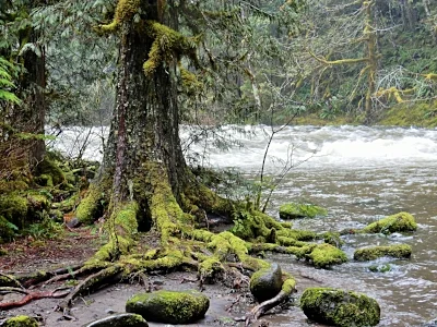 Lower Salmon River Trail