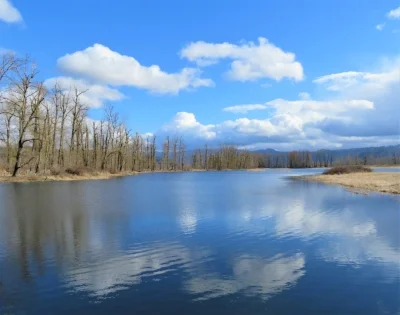 Red Tail Lake, Steigerwald Wildlife Refuge