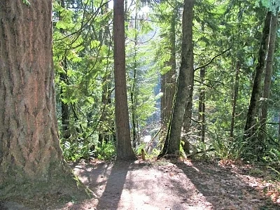 Tryon Creek State Park