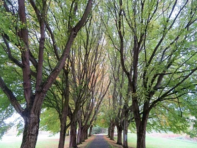 Vancouver Lake Park
