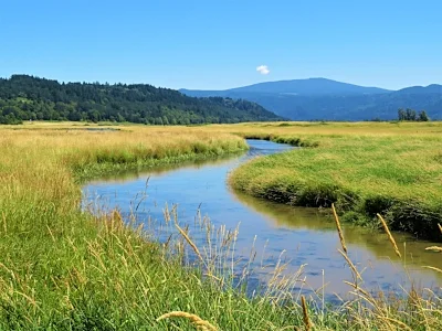 Stream, Steigerwald Wildlife Refuge